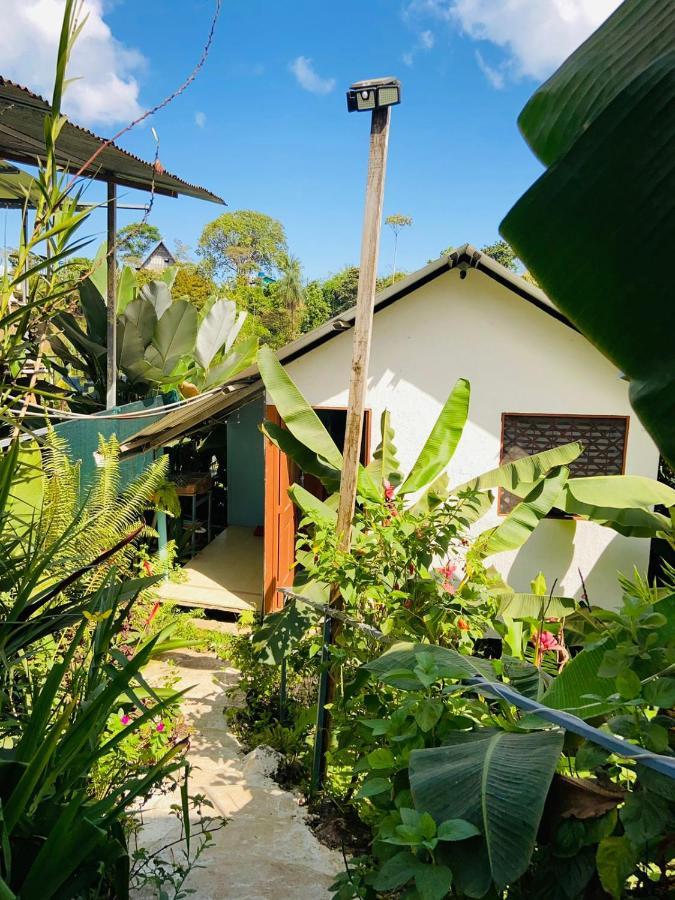 Casita Tangara Con Balcon Y Agua Caliente Drake Bay Exterior foto