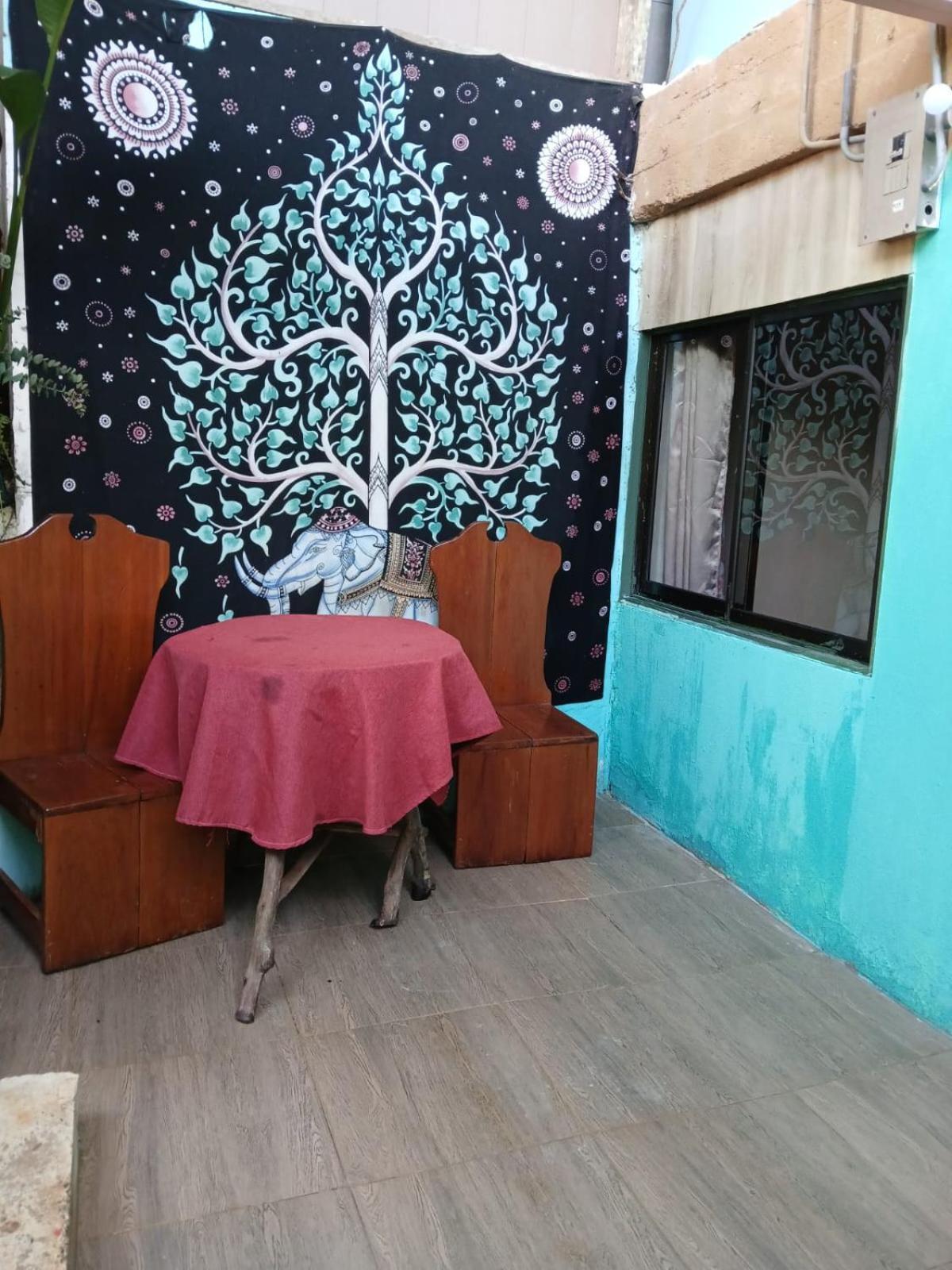 Casita Tangara Con Balcon Y Agua Caliente Drake Bay Exterior foto